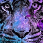 twilightlady avatar